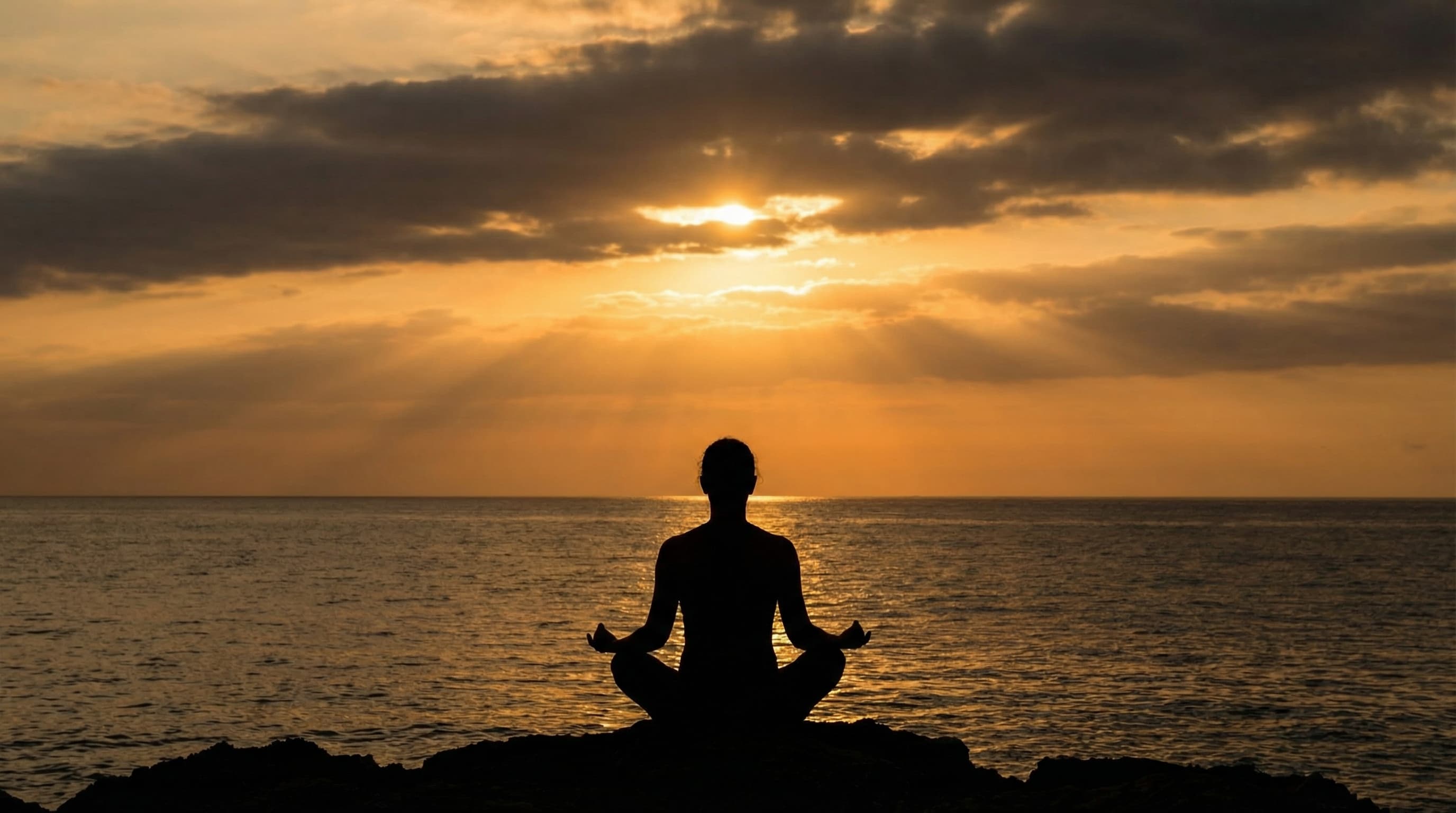 Introductory Practice Banner