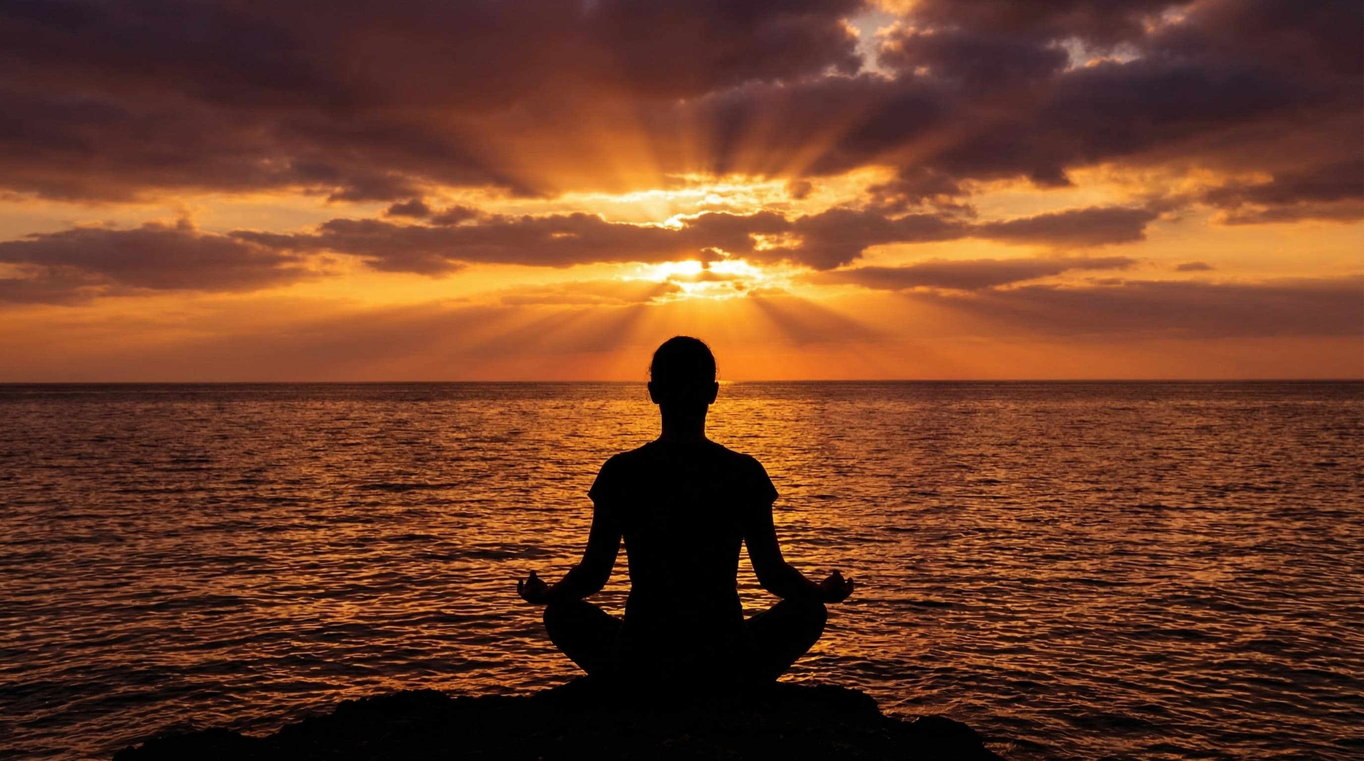 Office Address Banner